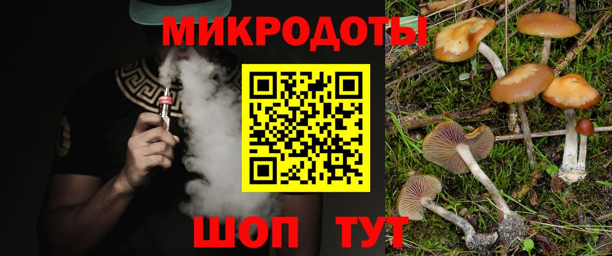 Галлюциногенные грибы Cubensis  купить наркоту  Назрань  Вход с VPN 